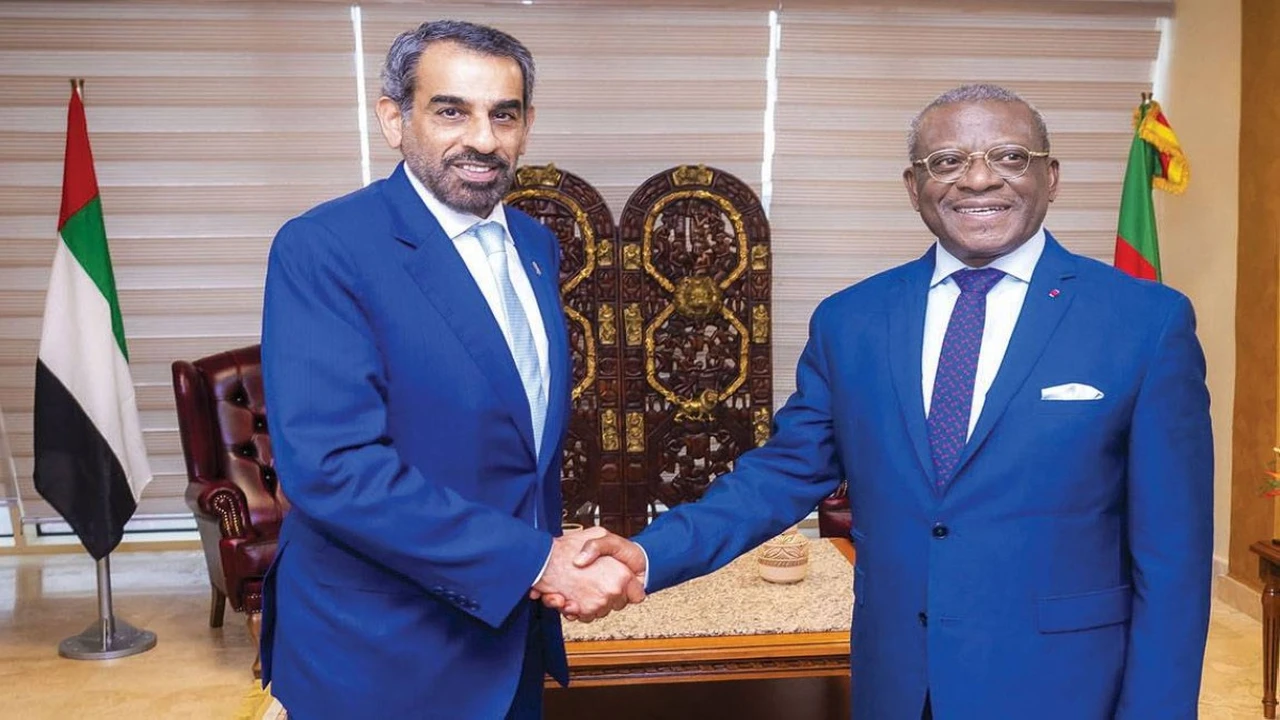 سفير الدولة في الكاميرون يبحث تعزيز العلاقات مع رئيس الوزراء